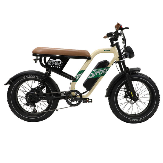 ONESPORT W66 Electric Bike, 500W Motor, 48V 13.5Ah Battery, 20*4.0 inch Tire, 25km/h Max Speed, 100km Range, Front & Rear Hydraulic Disc Brakes, Shock Absorbing Front Fork, 7-speed Transmission