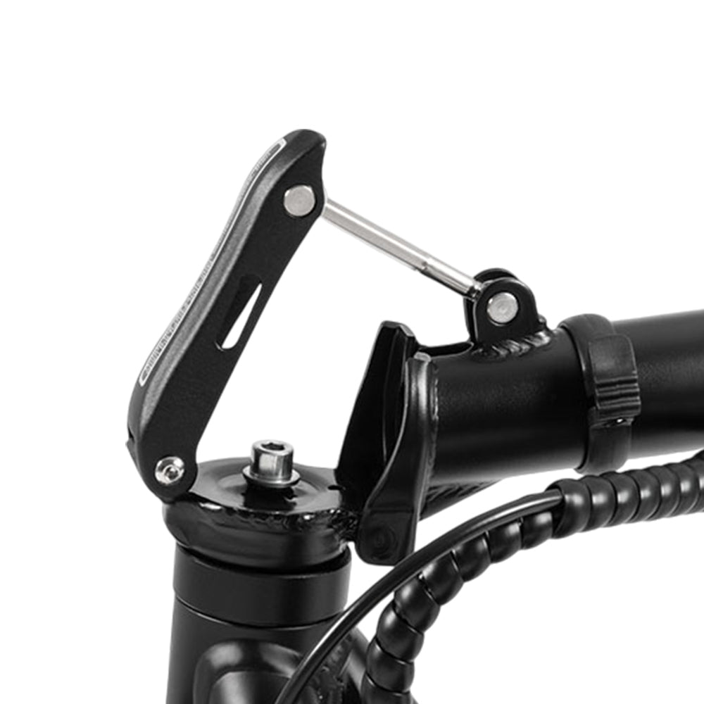 DYU C4 Folding Electric Scooter, 250W Motor, 36V 10AH Battery, 14 Inch Tires, 25km/h Max Speed, 42km Range, Front &amp; Rear Disc Brakes