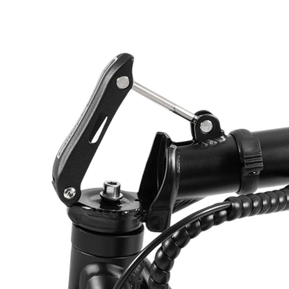 DYU C4 Folding Electric Scooter, 250W Motor, 36V 10AH Battery, 14 Inch Tires, 25km/h Max Speed, 42km Range, Front &amp; Rear Disc Brakes
