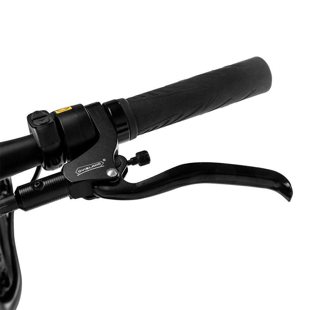 Fafrees F26 Carbon X E-bike 26*4.8 inch Air Tire 1000W Rear Drive 25km/h Max Speed 48V 22.5Ah Battery 120-140km Assist Range