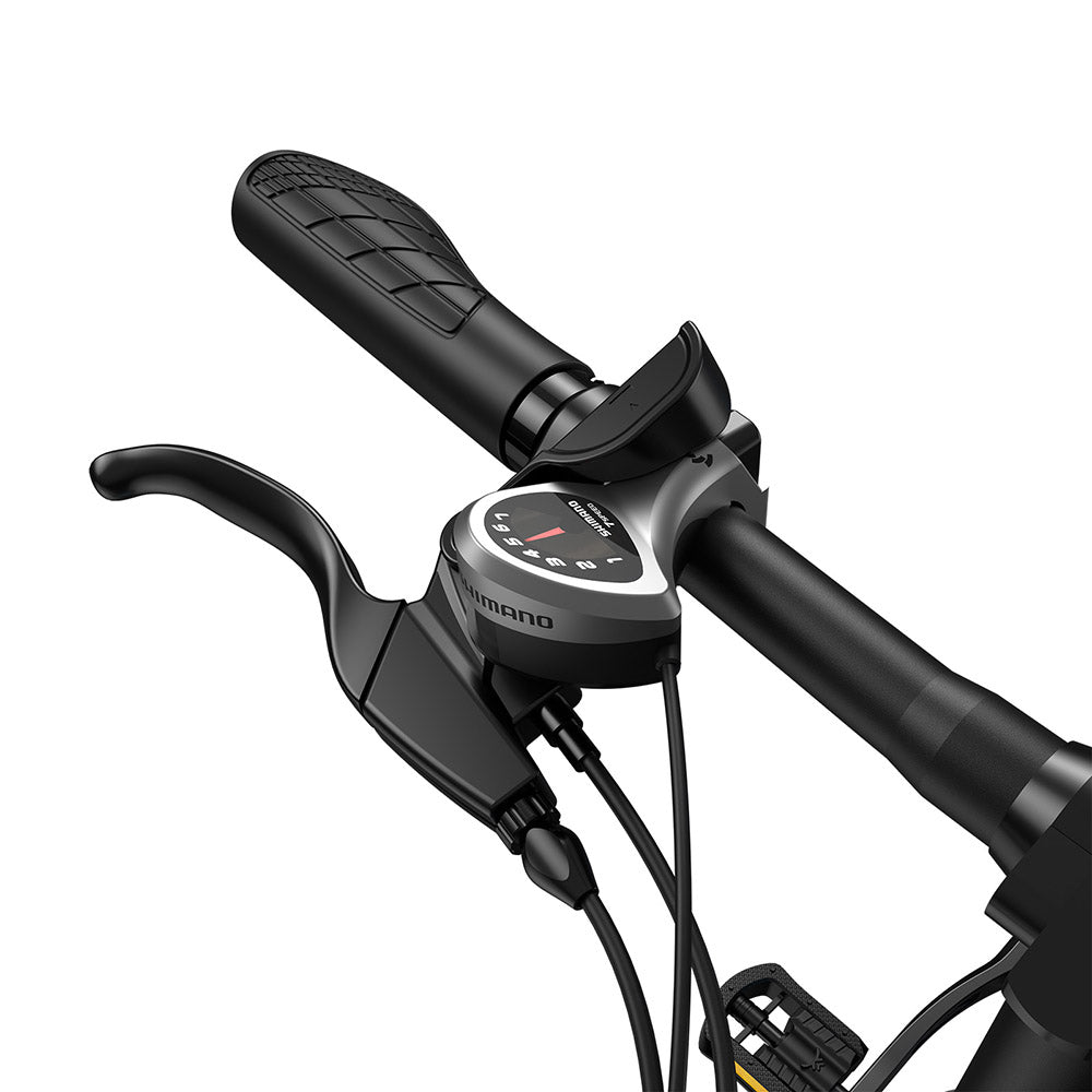 Fafrees F20 Lasting Electric Bike, 250W Motor, 36V 18.2Ah Battery, 20*1.95" Tires, 25km/h Max Speed, 120km Max Range, Mechanical Disc Brakes, SHIMANO 7 Speed - Radiant Teal