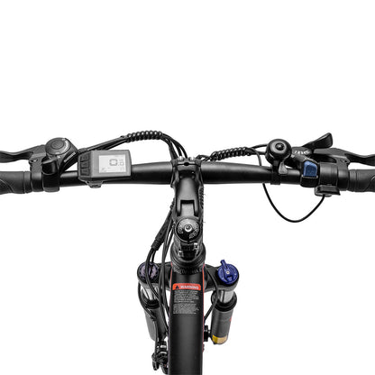 Fafrees Hailong One Electric Bike, 250W Motor, 36V/13Ah Battery, 26*2.1-inch CST Tires, 25km/h Max Speed, 100km Max Range, LCD Display, SHIMANO 21 Speed - Black