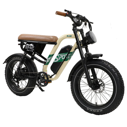 ONESPORT W66 Electric Bike, 500W Motor, 48V 13.5Ah Battery, 20*4.0 inch Tire, 25km/h Max Speed, 100km Range, Front &amp; Rear Hydraulic Disc Brakes, Shock Absorbing Front Fork, 7-speed Transmission