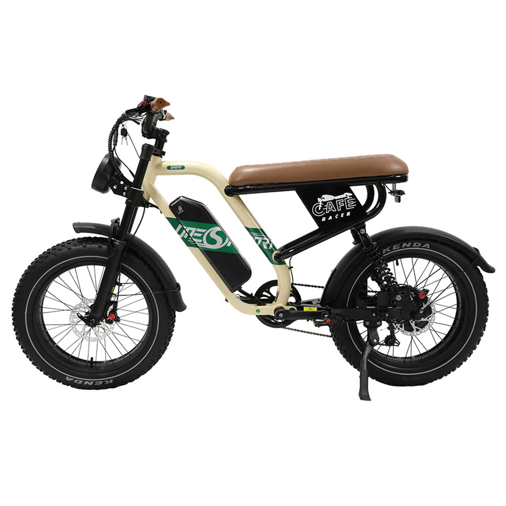 ONESPORT W66 Electric Bike, 500W Motor, 48V 13.5Ah Battery, 20*4.0 inch Tire, 25km/h Max Speed, 100km Range, Front &amp; Rear Hydraulic Disc Brakes, Shock Absorbing Front Fork, 7-speed Transmission
