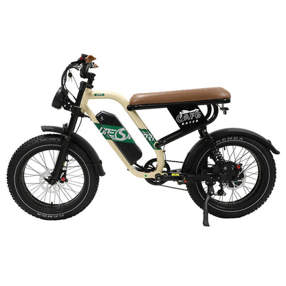 ONESPORT W66 Electric Bike, 500W Motor, 48V 13.5Ah Battery, 20*4.0 inch Tire, 25km/h Max Speed, 100km Range, Front &amp; Rear Hydraulic Disc Brakes, Shock Absorbing Front Fork, 7-speed Transmission