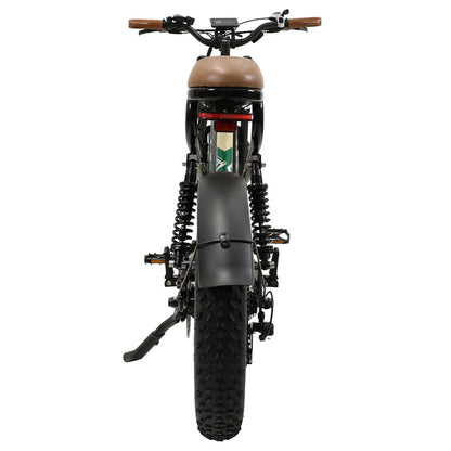 ONESPORT W66 Electric Bike, 500W Motor, 48V 13.5Ah Battery, 20*4.0 inch Tire, 25km/h Max Speed, 100km Range, Front &amp; Rear Hydraulic Disc Brakes, Shock Absorbing Front Fork, 7-speed Transmission