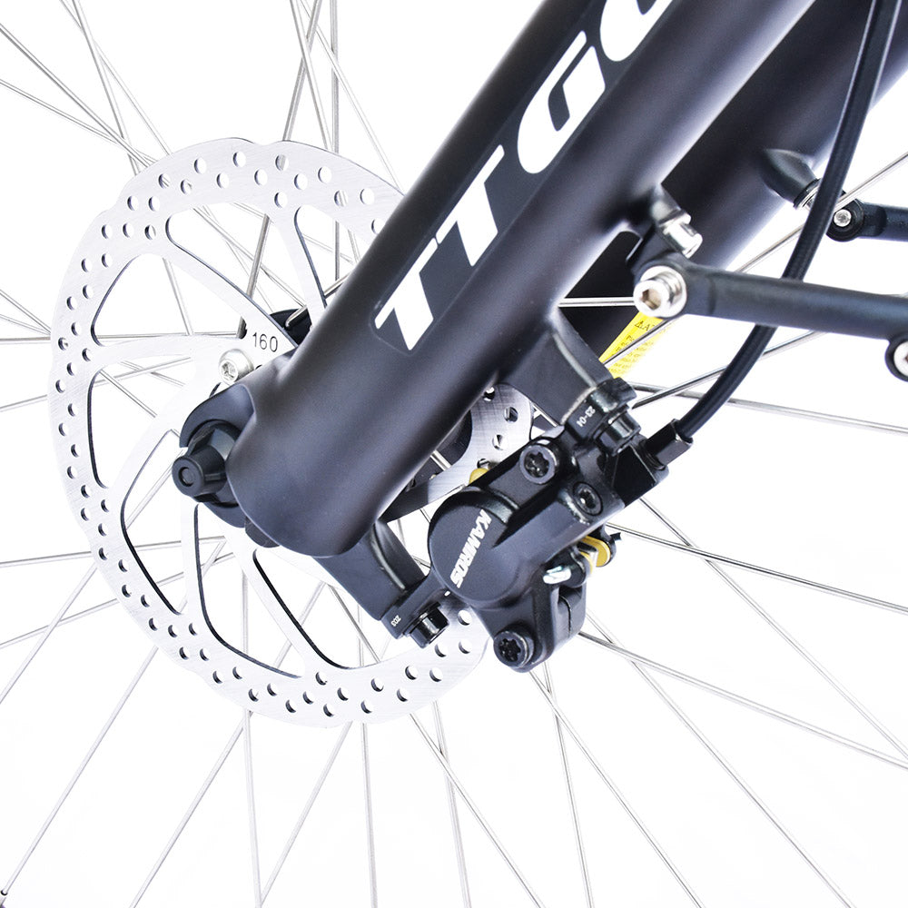 TTGO LK-ZZ-28ST Electric Bike, 250W Motor, 36V 20AH Battery, 700C*45C Tires, 25km/h Max Speed, 180km Range, Hydraulic Disc Brake, Shimano 9 Speed, LCD Display - Black