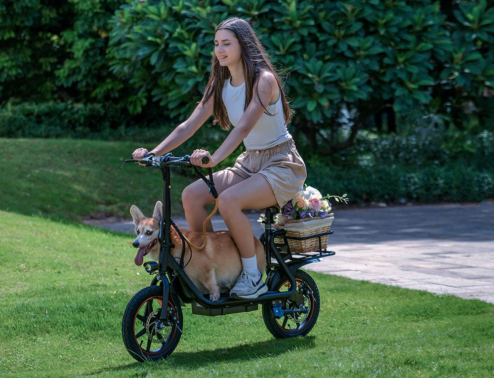 DYU C4 skladací elektrický skúter, 250W motor, 36V 10AH batéria, 14 palcové pneumatiky, maximálna rýchlosť 25 km/h, dojazd 42 km, predné a zadné kotúčové brzdy.