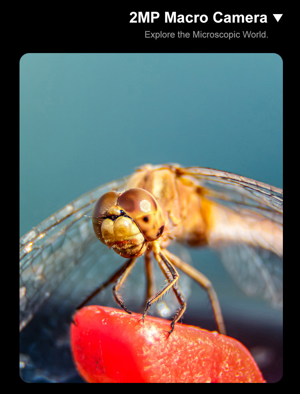 Smartfón FOSSiBOT S3 Pro 4G, 6,67